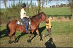 fotecka