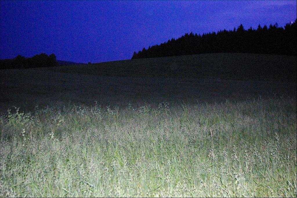 IMGP0319
